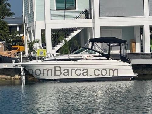 Wellcraft Martinique 2700 scheda tecnica e recensioni